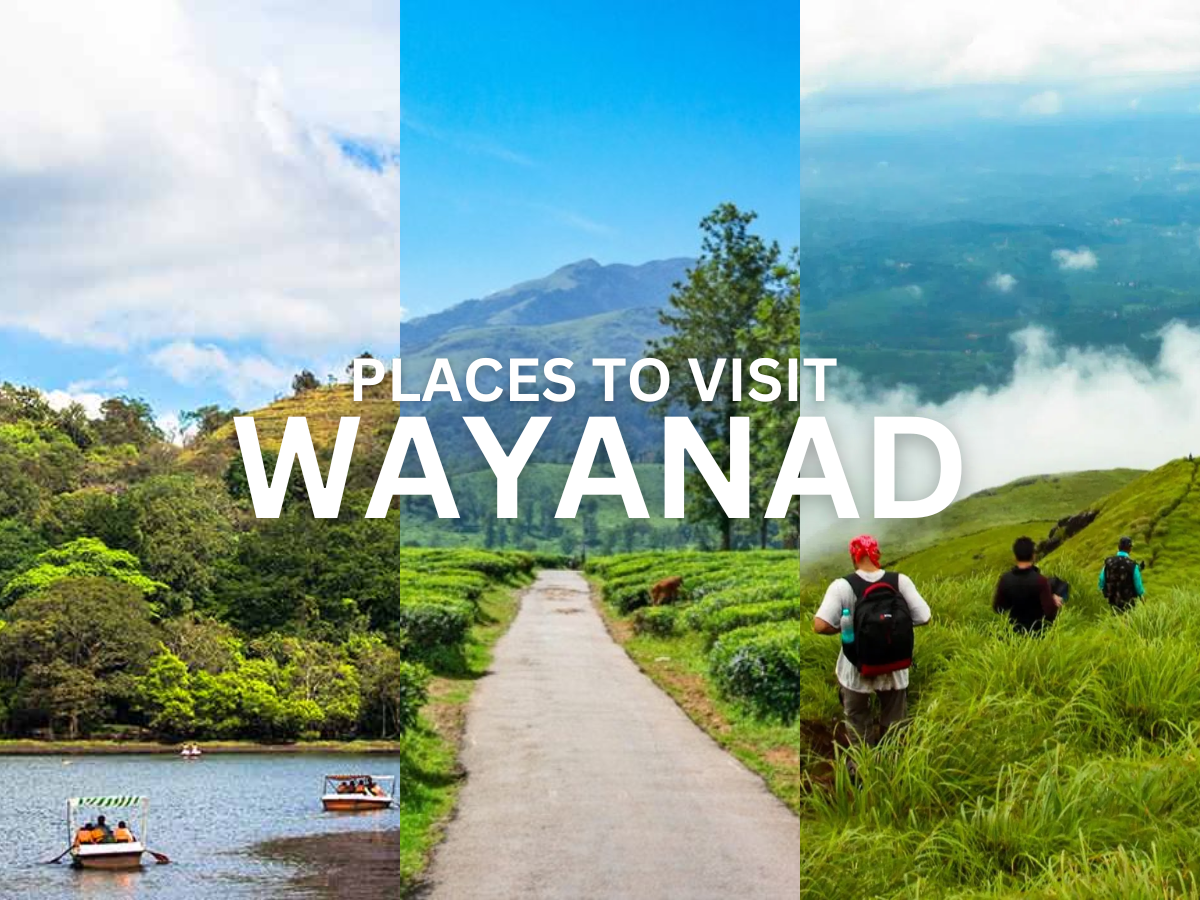 places to visit in wayanad