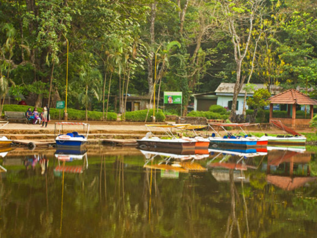 places to visit in wayanad