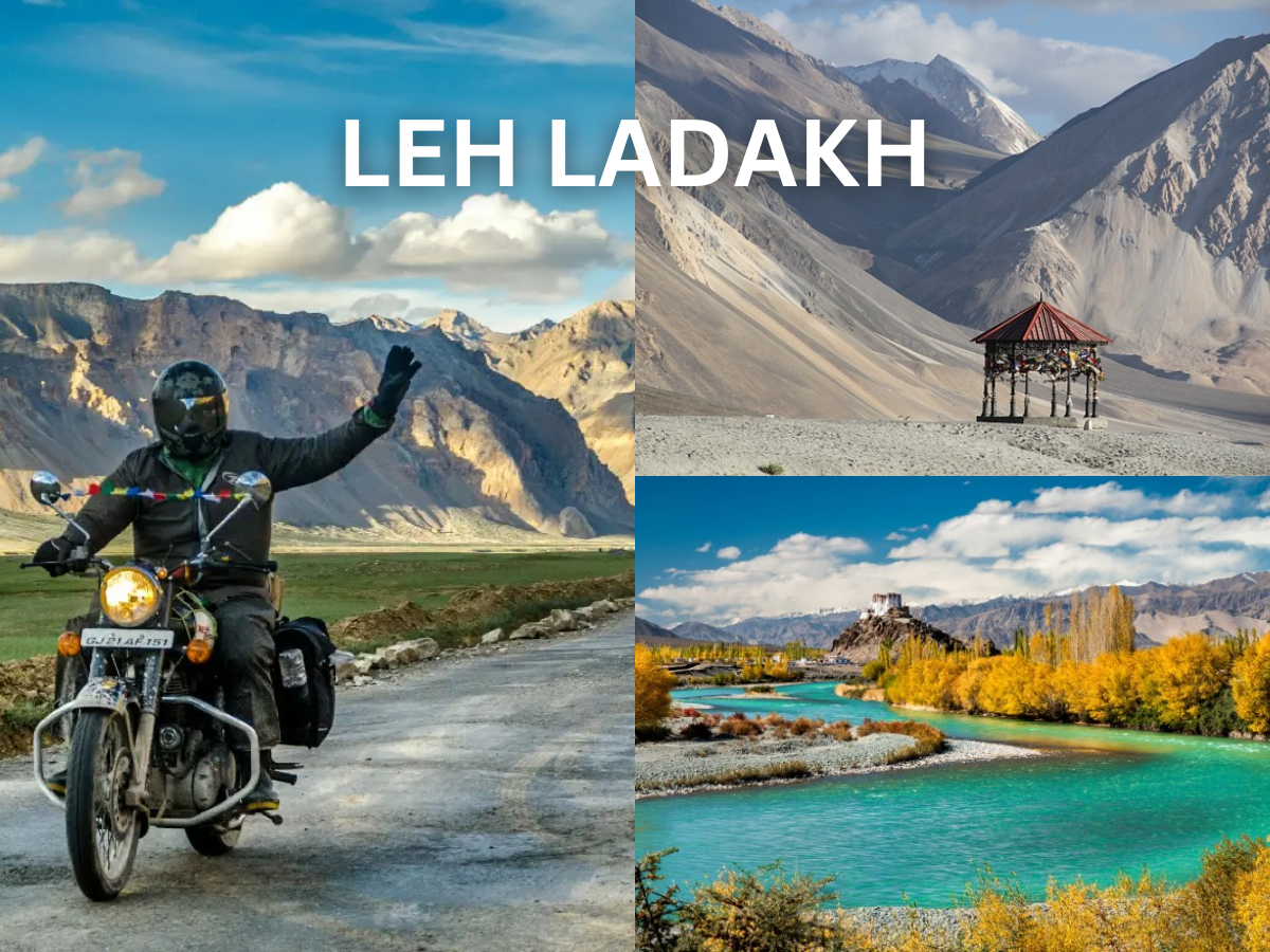 leh ladakh